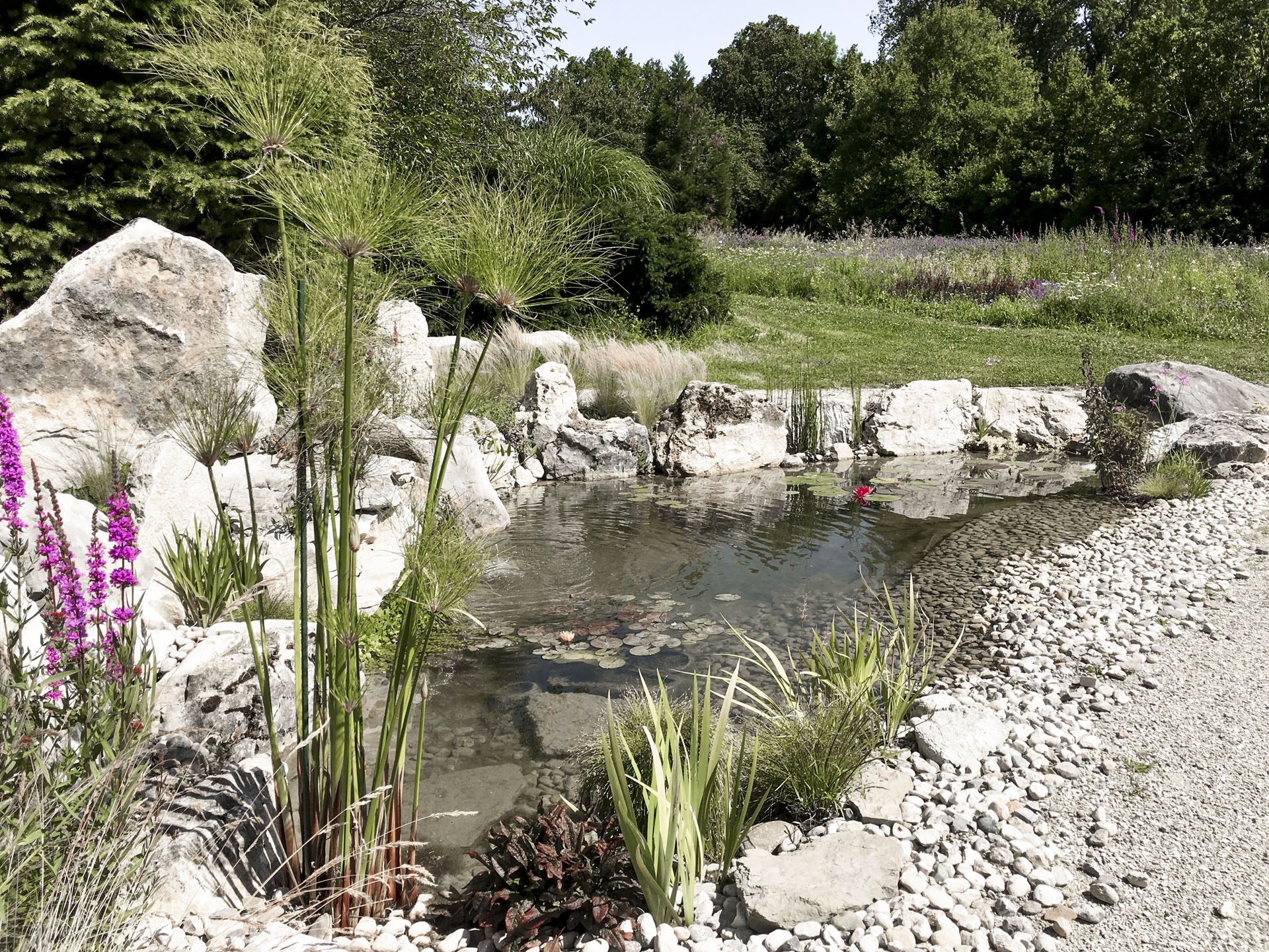 Presinge pond : landscaping
