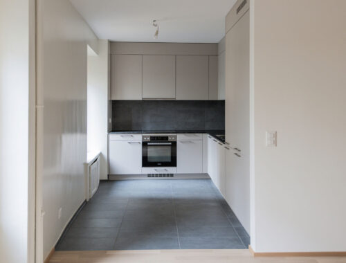 CSDK Rénovation Genève Appartement 1 500x380 - Rénovation complète d’un appartement à Genève - CSDK Rénovation Genève Appartement 1 500x380